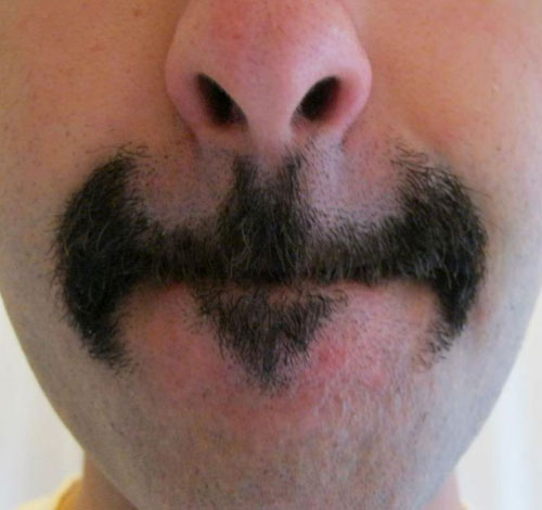 Batman Logo Mustache