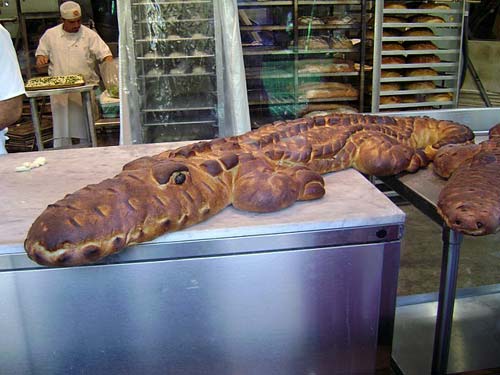 Alligator Bread Loaf