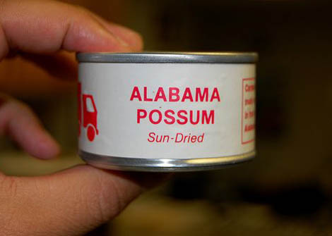 Sun-Dried Alabama Possum