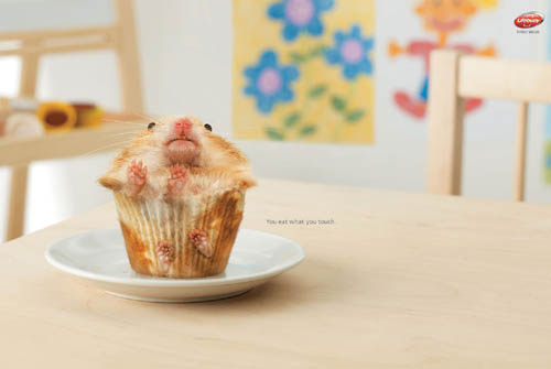 Hamster Muffin