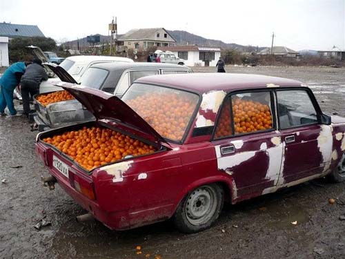 Car Full Of Oranges