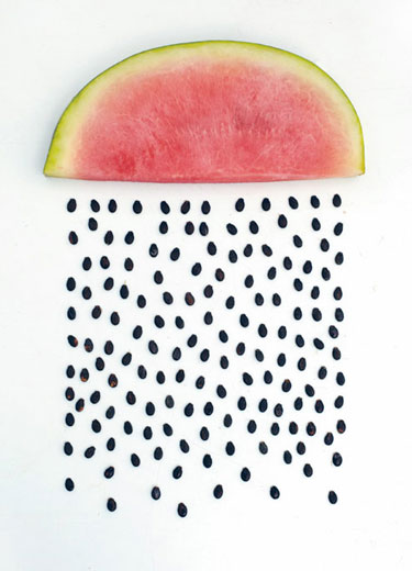 Watermelon Seed Shower