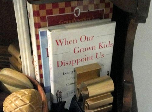 Self Help Book For Baby Boomers - When Our Grown Kids Disappoint US