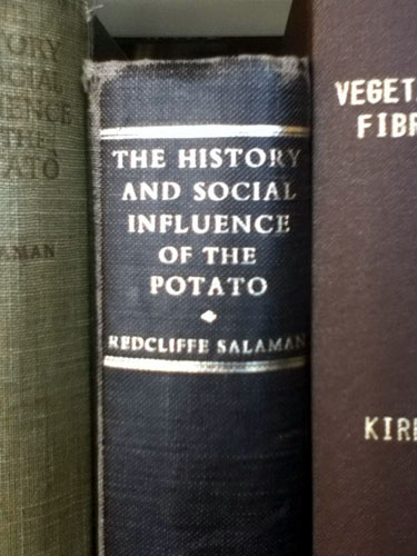 The History And Social Influence Of The Potato