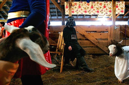 Darth Vadar with Farm Animals