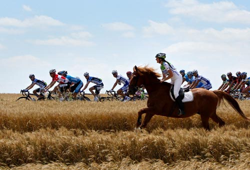 Tour de France Horse vs Cyclists