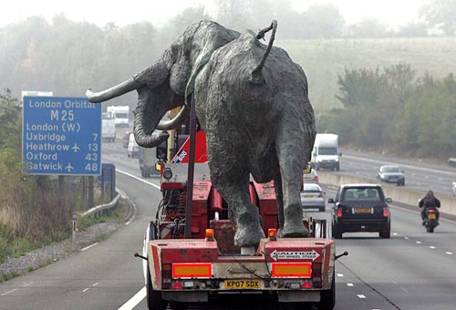 Life-Size Elephant Sculpture On The M25