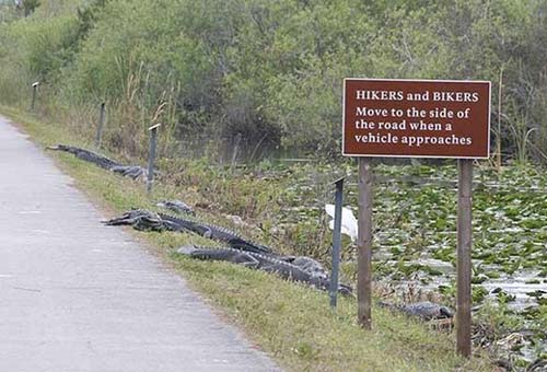 Move To Side of Road Sign