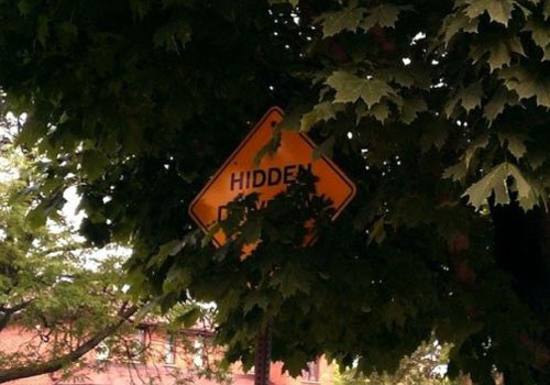 Hidden Driveway Sign
