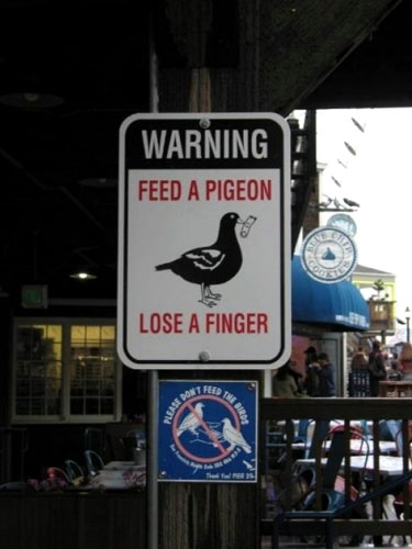 Feed A Pigeon, Lose A Finger Sign