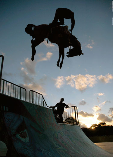 Horse Gets Air On Half Pipe