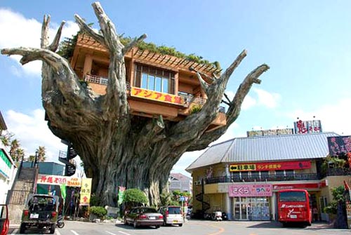 Naha Harbor Treehouse Restaurant in Okinawa, Japan